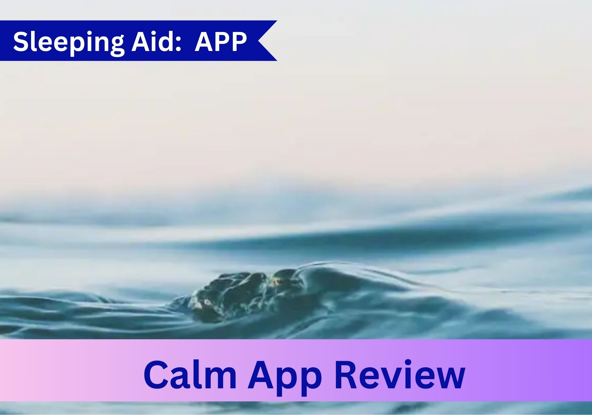 calm-app-review